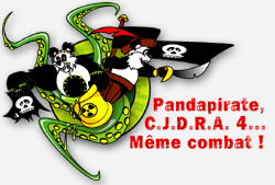 Pandapirate5.png